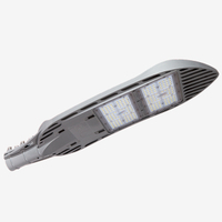Serie RM / Lampione stradale a LED / 2 Moduli