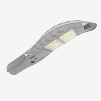 Serie RS / Lampione stradale a LED / 2 Moduli