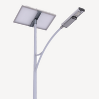 Lampione stradale a LED solare Freedom Plus 