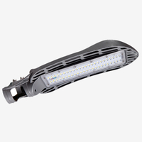 Serie RM / Lampione stradale a LED / 1 Modulo
