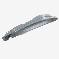 Lampione stradale a LED serie RM 60-100W